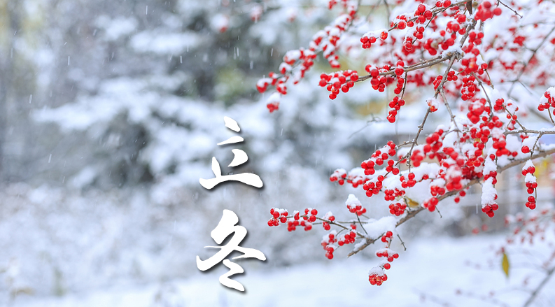 贵州海悦酒业丨立冬寒风至，岁月酱香暖